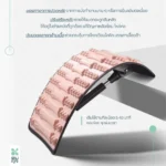 SOMDUL Backstretcher Premium แผ่นดัดหลัง พรีเมี่ยม รุ่น QQ - Image 4