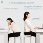 SOMDUL Ergonomic Seat Cushion เบาะรองเพื่อสุขภาพ - Image 6