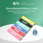 SOMDUL ยางยืดออกกำลังกาย 6 เส้น/เซ็ต | Latex Resistance Bands แบบวงกลม แรงต้านหลายระดับ สำหรับโยคะ ฟิตเนส - Image 2