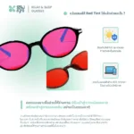 SOMDUL Relax & Sleep Glasses รุ่น BL52031 แว่นกรองแสงสีฟ้า ทรง Round-Oval เลนส์แดงเข้มและเลนส์ส้ม สำหรับช่วงเย็นและก่อนนอน - Image 7